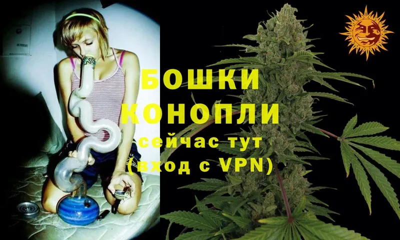 МАРИХУАНА White Widow  Мышкин 